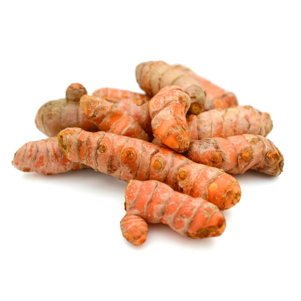 8 Turmeric Roots for Planting, Live Rhizomes Turmeric Curcuma Longa