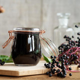 Black Elderberry Plant Live, 6-12 Inch Tall, Fast Growing Ornamental Elderberry Shrub, Outdoor Planting