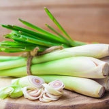 3 Lemongrass Live Plants, Herb Stalks Plant, 4-6 Inch Tall