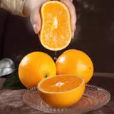 Valencia Orange Tree Live Plant, Citrus Tree, 1-2 Ft Tall, 1 Gallon Pot