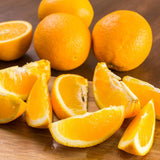Orange Live Plant, Well-Rooted Citrus Tree, 1-2 Ft Tall, 1 Gallon Pot