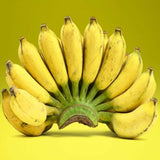 3 Banana Trees Plants Live, Fast Growing Tree, 3-5 Inch Tall