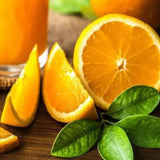 Valencia Orange Tree Live Plant, Citrus Tree, 1-2 Ft Tall, 1 Gallon Pot