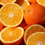 Valencia Orange Tree Live Plant, Citrus Tree, 1-2 Ft Tall, 1 Gallon Pot