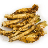 3 Horseradish Live Plants, Live Starter Plant, 4-6 Inch Tall
