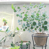 Eucalyptus Plant Live, Indoor Outdoor Tree, 4-6 Inch Tall