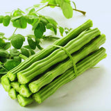 50 Heirloom + Moringa Seeds, Live Starter Plant