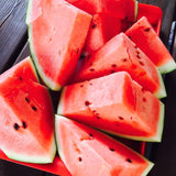 50 Watermelon Live Seeds, Heirloom Garden Seeds