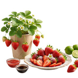 2 Red Live Strawberry Plants, Berry Fruit Plant, 2-3 Inch Tall, 3 Inch Pot