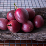 Set 2 High-yielding Passion Fruit Plants Live, Fast-Growing Passionfruit Vine Live Plants Tree for Full Sun Growing, Summer Planting, 4-7 Inches, No Pot, Hardy Tropical Trellis Planting
