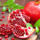 Sweet Pomegranate Tree, Hardy Garden Plant, 4-6 Inch Tall