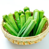 2 Green Okra Live Plants, Home Garden Vegetable, 4-8 Inch Tall, 4 Inch Pot