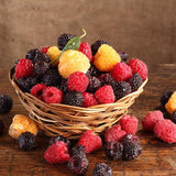 3 BlackBerry Live Plants, Starter Berry Plant, 3-7 Inch Tall