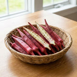 2 Red Okra Plants Live, Vegetable Starter Plant, 4-8 Inch Tall, 5 Inch Pot