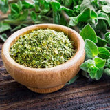 3 Cuban Oregano Herb Live Plants, Garden Herb Plant, 4-6 Inch Tall