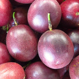 Set 2 Purple Passion Fruit Plants Live, Fast-Growing Passionfruit Vine Live Plants Tree for Full Sun Growing, Summer Planting, 4-7 Inches, No Pot, Hardy Tropical Trellis Planting