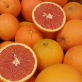 Red Navel Orange Tree, Hardy Garden Plant, 1-2 Ft Tall, 1 Gallon Pot