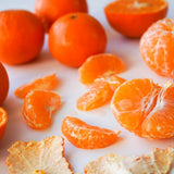 Clementine Mandarin Live Plant, 1-2 Ft Tall, 1 Gallon Pot