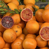Blood Orange Live Plant in 1 Gallon Pot, 24–30 Inch Tall