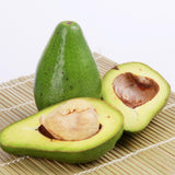 HASS Avocado Tree Plant Live, Nursery Grown Tree, 5-7 Inch Tall