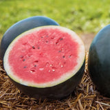 50 Watermelon Live Seeds, Heirloom Garden Seeds