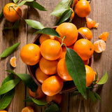 Orange Live Mandarin Plant, Home Garden Plant, 1 Gallon Pot