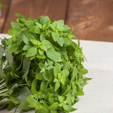 3 Sweet Greek Basil Plants Live, Ready to Grow Plant, 3-6 Inch Tall