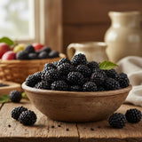 2 Cold Hardy Black Berry Plants, Blackberries Bush, 4-6 Inch Tall