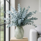Silver Eucalyptus Tree Plant Live, Foliage Tree, 3-6 Inch Tall, 4 Inch Pot