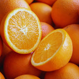 Valencia Orange Tree Live Plant, 1-2Ft Tall, Fruit Tree, 1 Gallon Potted