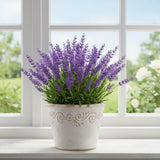 2 Provence Lavender Plants, Lavender Plants Live, 4-8 Inch Tall