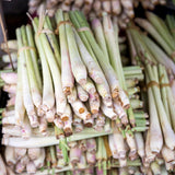 3 Lemongrass Plants Live, Home Garden Plant, 4-6 Inch Tall