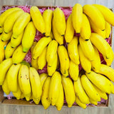 Sweet Live Banana Plant, Live Starter Plant, 4-6 Inch Tall