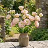 White Pink Lisianthus Plant, Eustoma Lisianthus Flowers in Plug, 3-5'' Tall