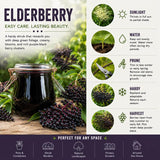 Elderberry Live Plant 6-10 Inches, Fast Growing Black Eldeberries, Ornamental Shrub with Edible Berries for Garden