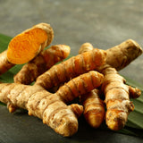 8 Turmeric Roots for Planting, Live Rhizomes Turmeric Curcuma Longa