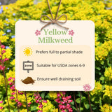 2 Yellow Milkweed Live Plants, Asclepias Tuberosa, 4-6 Inch Tall