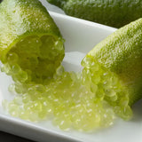 Green Finger Lime Tree, Rare Citrus Tree, 1-2 Ft Tall, 1 Gallon Pot