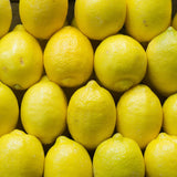 Meyer Lemon Live Plant, 1 Gallon Pot