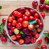 Barbados Cherry Live Plant, Sweet Cherry Plant, 4-7 Inch Tall