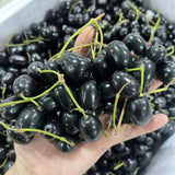 Black Jambul Plum Live Plant, Outdoor Garden Fruit Tree, 4 Inch Pot