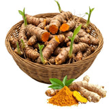 1lb Curcuma Turmeric Rhizomes