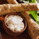 2 Horseradish Plants Live, Live Starter Plant, 4-6 Inch Tall