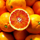 Orange Tree Live Plant, Citrus Fruit Tree, 1 Ft Tall, 1 Gallon Pot