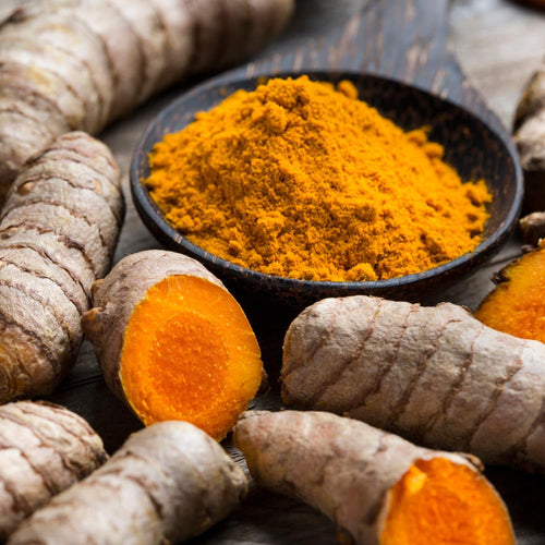 15 Turmeric Roots for Planting, Turmeric Rhizomes, Edible Tropical Herb