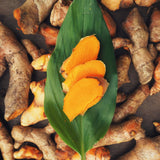 2 Turmeric Live Plants, 4-6 Inch Tall