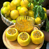 Set 2 Yellow Passion Fruit Plants Live, Fast-Growing Passionfruit Vine Live Plants Tree for Full Sun Growing, Summer Planting, 4-7 Inches, No Pot, Hardy Tropical Trellis Planting
