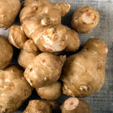 2 Lb Live Jerusalem Artichoke Tubers, Home Garden Plant