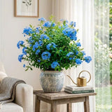 2 Blue Plumbago Flower Live Plants, Flowering Shrub, 4-6 Inch Tall