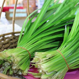 2 Pandan Leaves Live Plants, Well-Rooted Herb Plant, 4-8 Inch Tall